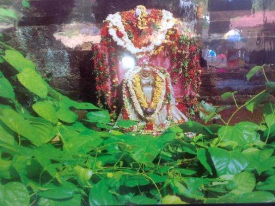 panchikkau-mookambika-saraswathi temple